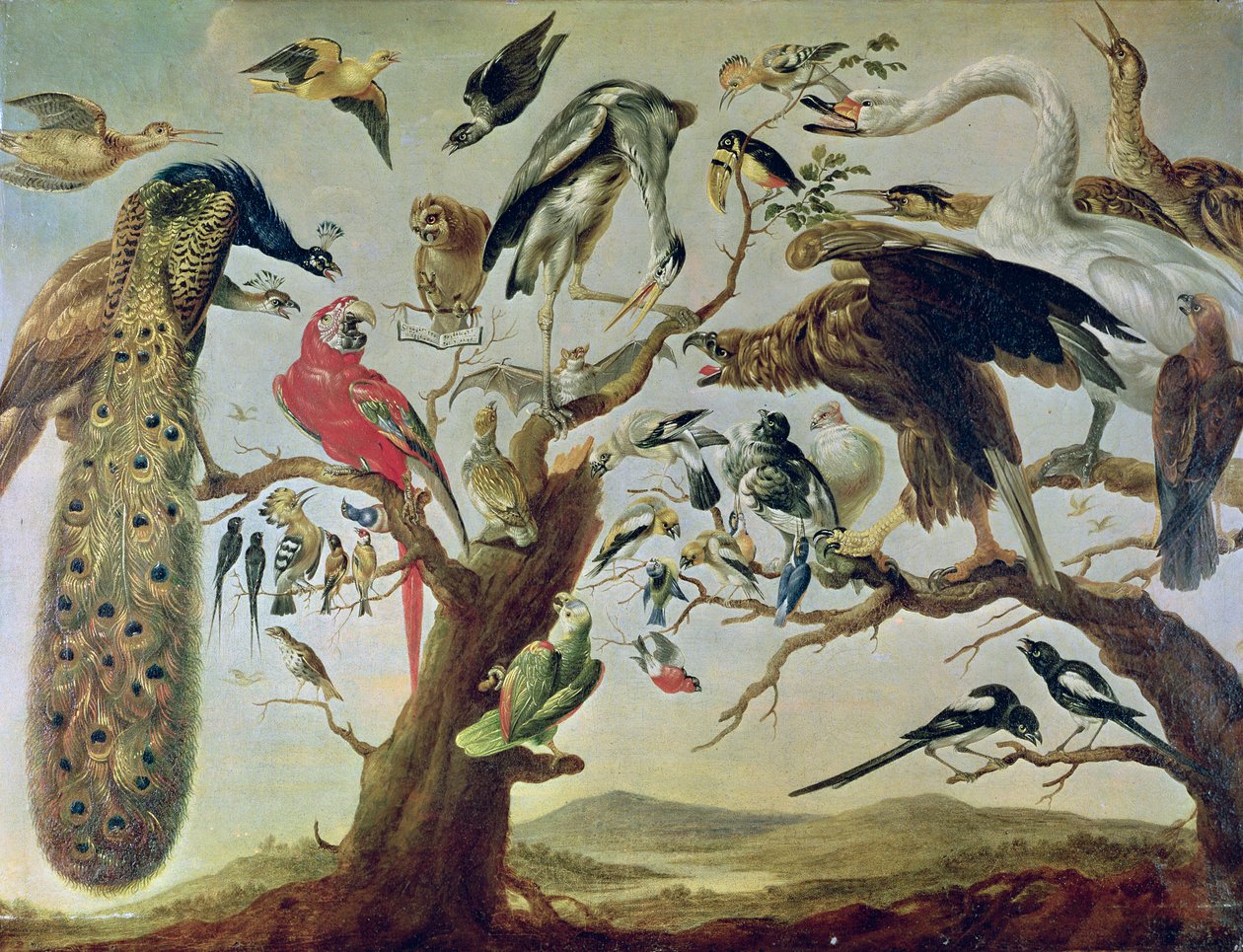 The Bird's Concert by Frans Snyders or Snijders